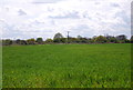 Farmland south of Stoke Rd