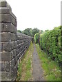 Footpath - Swaine Hill Terrace