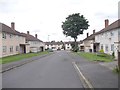 Coppice Wood Grove - Coppice Wood Avenue