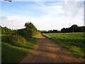 Track in Ramsholt