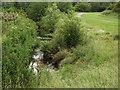 Hogsmill River, Ewell