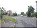 Banksfield Mount - looking towards Coppice Wood Avenue