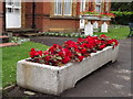 Trough, Ewell Court