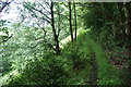 Path above Harrop Brook