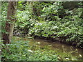 Hogsmill River, Tolworth