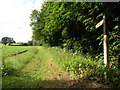 Public bridleway just west of Borley Green