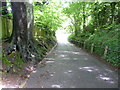 Looking down Waller Lane to lower Caterham