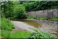 Shingle bank on the River Teviot