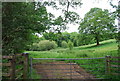 Devon countryside through a farm gate