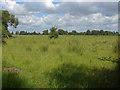 Thames floodplain