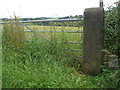 Benchmark on a gatepost on Wike Lane