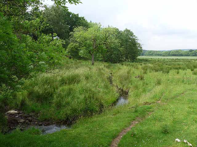 Field and stream near Ridley Stokoe Farm © Oliver Dixon :: Geograph ...