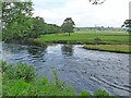 NY7885 : Confluence of the Tarset Burn with the North Tyne by Oliver Dixon
