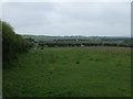 Grazing land near Prior House