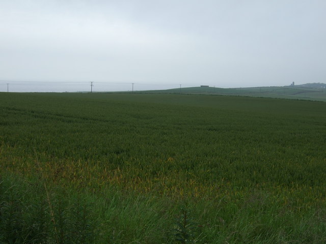 Farmland off the A1167