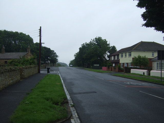 Road heading south through Scremerston