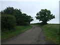 Road towards Lowick Mill