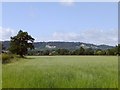 View north across fields from near Strood Green Farm