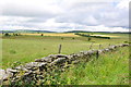 Stonewall and Pastureland on the road heading for the B5105