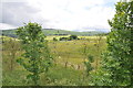 Animal Paddocks at Pen y Bryn  Farm