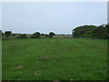 Farmland, Holy Island