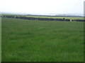 NU1235 : Farmland, Easington Demesne by JThomas