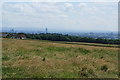 Grassy hillside at Outwood Gate