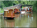 Steamboat traffic jam - Gregory