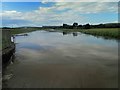 The River Dearne