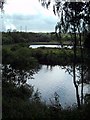 Aire and Calder Navigation and Fryston lake