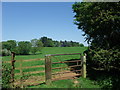 The Jurassic Way between Middleton Cheney and Chacombe