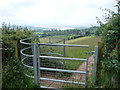 Kissing gate near Littledean