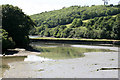 Porth Creek low tide as seen at Froe