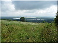 Summer scene above the Severn Valley