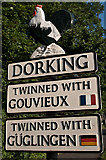 TQ1750 : Dorking town sign by Ian Capper