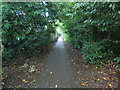 Footpath behind St Angela Rd, Cardiff