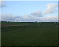 NU1628 : Farmland near Newham by JThomas