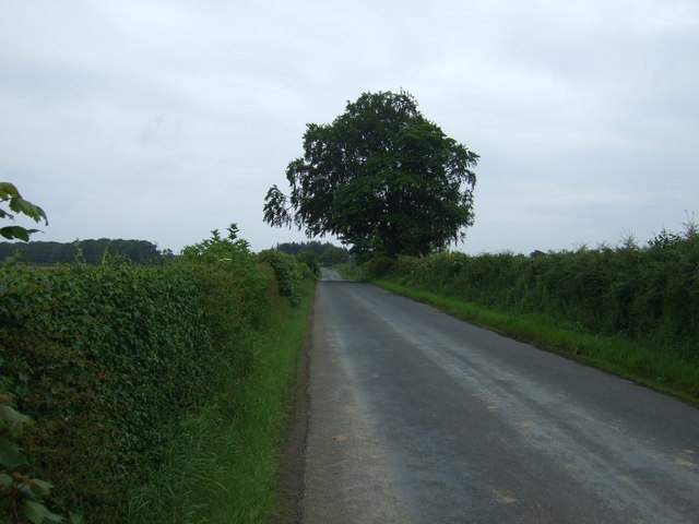 Minor road heading south towards West Fallodon