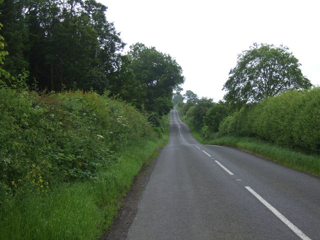 Minor road heading south towards West Fallodon