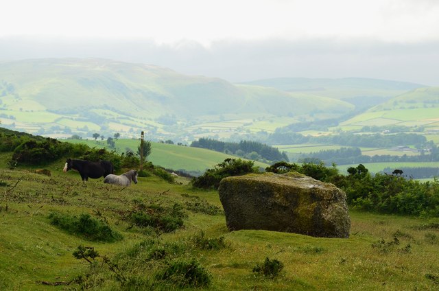 The Whet Stone and hill ponies, Hergest Ridge