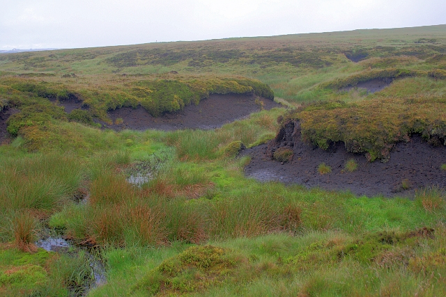 A tributary of the River Dane © Mick Garratt :: Geograph Britain and ...