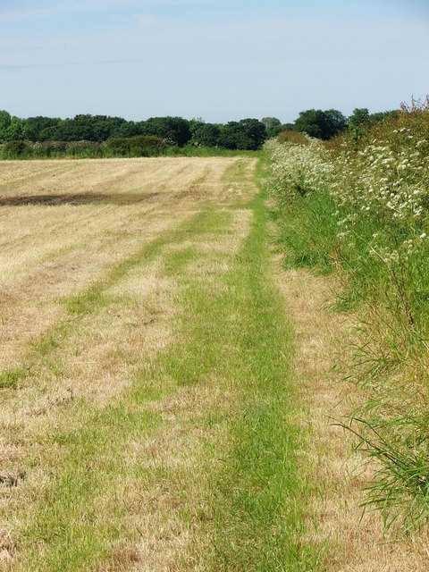 Cut Field Boundary