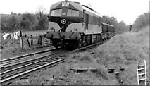 N7891 : Gypsum train near Kingscourt by Albert Bridge