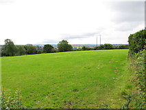 W6974 : Field by Rathcooney Road by David Hawgood
