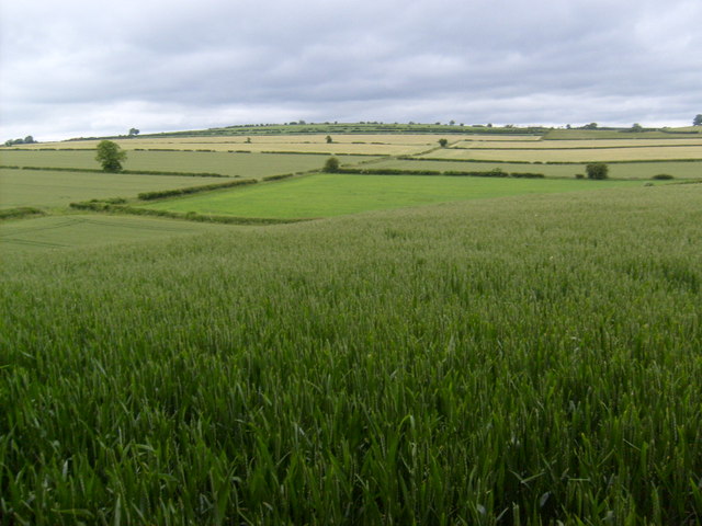 North of Lingmoor Barn
