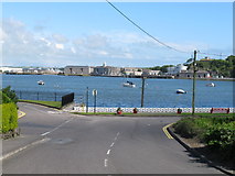W7865 : Cork Harbour and Haulbowline Island by David Hawgood