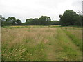 SE6624 : Rough grazing off Mill Lane, Carlton by Jonathan Thacker
