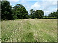 Footpath Long Man 8 to the A27 at Wilmington