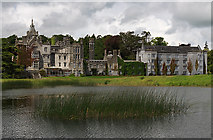 R4746 : Adare Manor (2) by Mike Searle