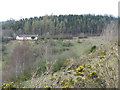 Valley beside the A73 west of Lanark